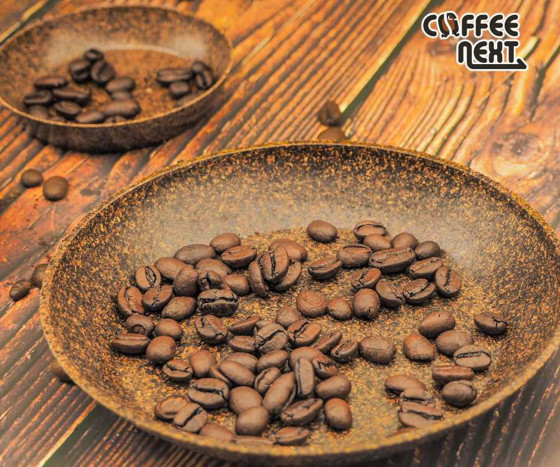  Coffee NEXT咖啡渣升級種植盆 (家庭套裝組)3