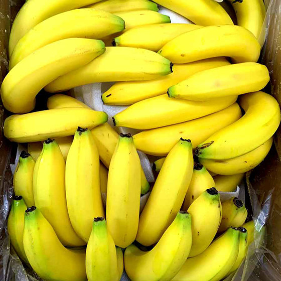 [開心share]原箱菲律賓香蕉 (13公斤)