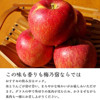 圖片 日版 梅乃宿 果肉 蘋果酒 720ml【市集世界 - 日本市集】
