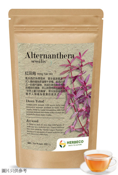 HERBECO即沖草本茶包-紅田烏
