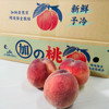 圖片 【日本直送】日本山梨加納岩水蜜桃 (5公斤/15-16裝)